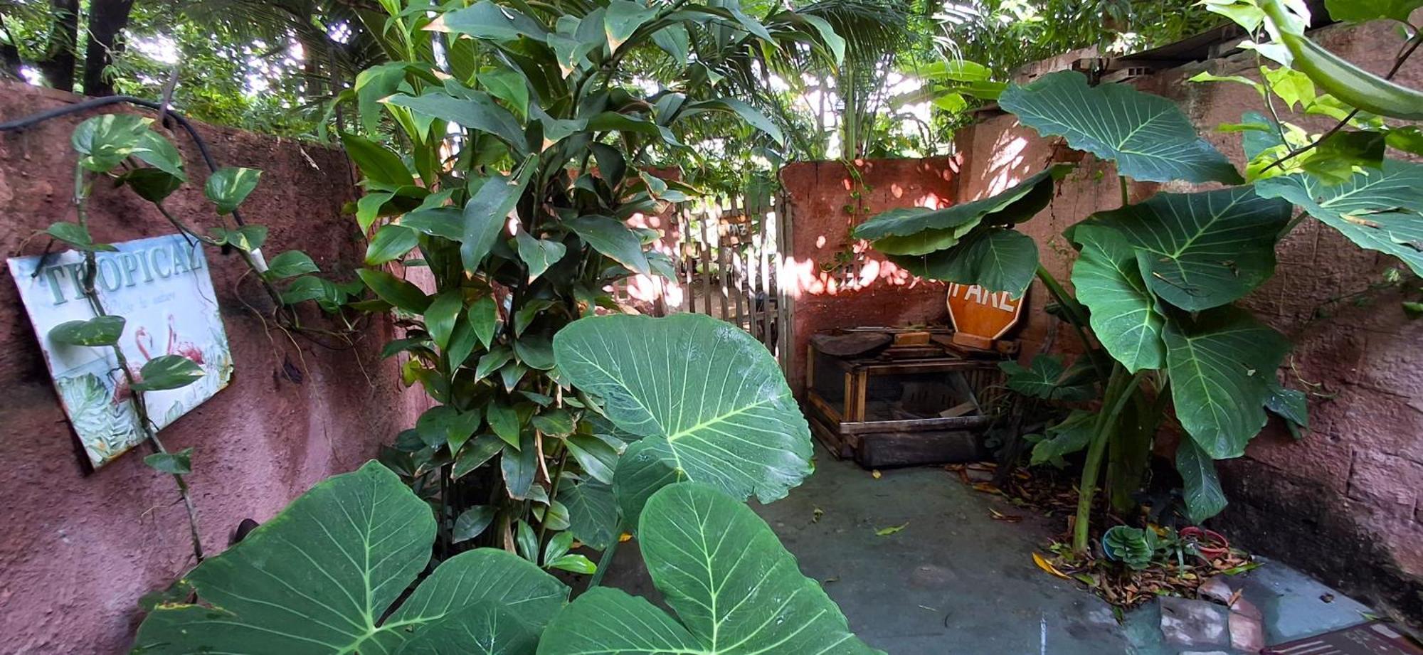 Albergue Espaco Jardim Secreto Hospedaria *